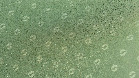 Namiot rodzinny dmuchany Outwell Cedarville 5A HiT