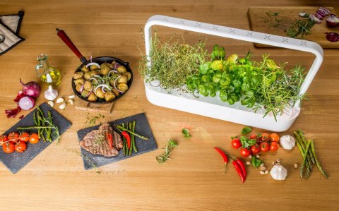 OKAZJA! Ogród Domowy Click and Grow Smart Garden 9
