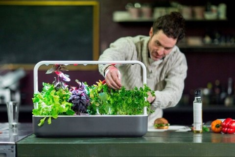 OKAZJA! Ogród Domowy Click and Grow Smart Garden 9