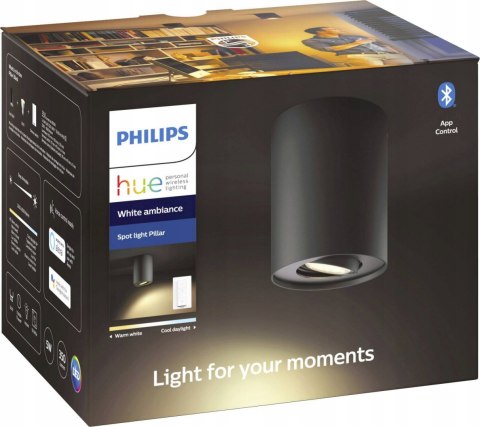 Philips Hue White ambiance Spotlight Pillar dimmer