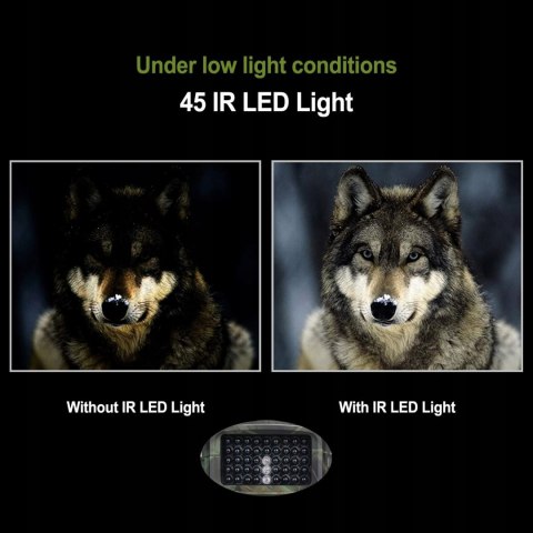 Kamera leśna fotopułapka Nicam 1080p