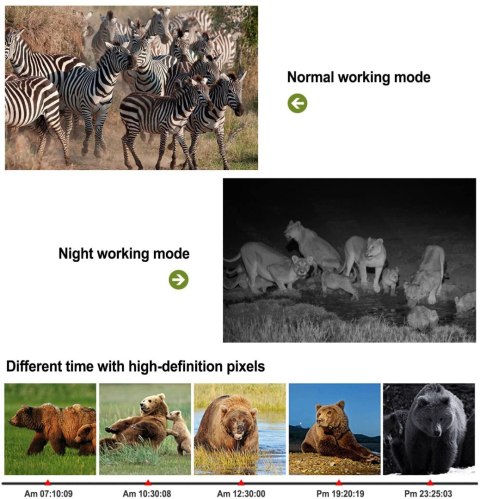 Kamera leśna fotopułapka Nicam 1080p