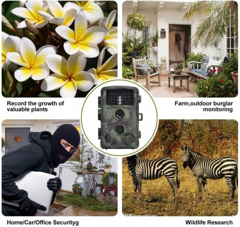 Kamera leśna fotopułapka Nicam 1080p