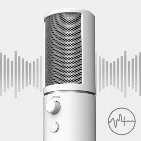 Mikrofon Pojemnościowy Razer Seiren X Mercury