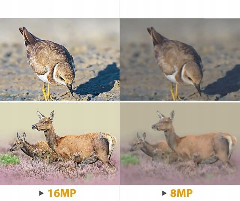 DIGITNOW! Kamera myśliwska 16MP 1080P HD NAJTANIEJ