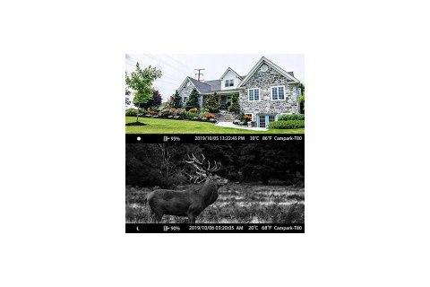 Kamera leśna fotopułapka Campark T80 WiFi 20MP