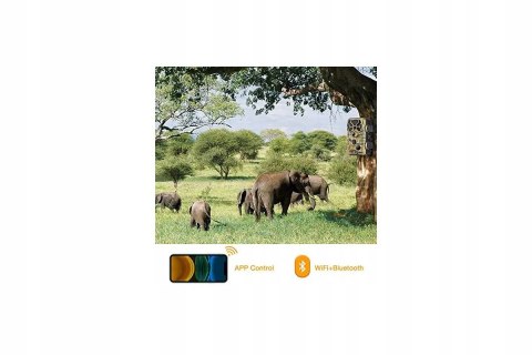 Kamera leśna fotopułapka Campark T80 WiFi 20MP