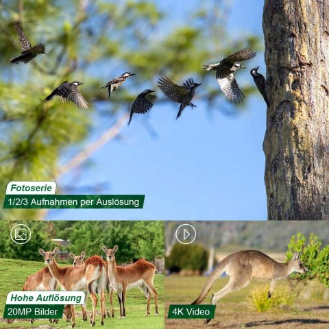 Kamera myśliwska foto pułapka CRENOVA 4K 32GB