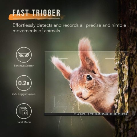 Wodoodporna kamera myśliwska Blusmart 4K 20MP IP66