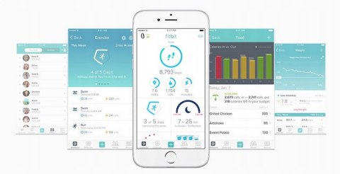 Opaska sportowa Fitbit FLEX2 czarny FB403BK-EU