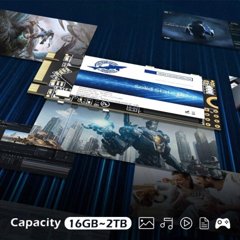 Dysk wewnętrzny SSD Dogfish 1TB M.2 2242 FV HiT