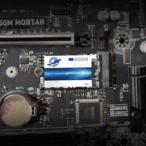 Dysk wewnętrzny SSD Dogfish 1TB M.2 2242 FV HiT